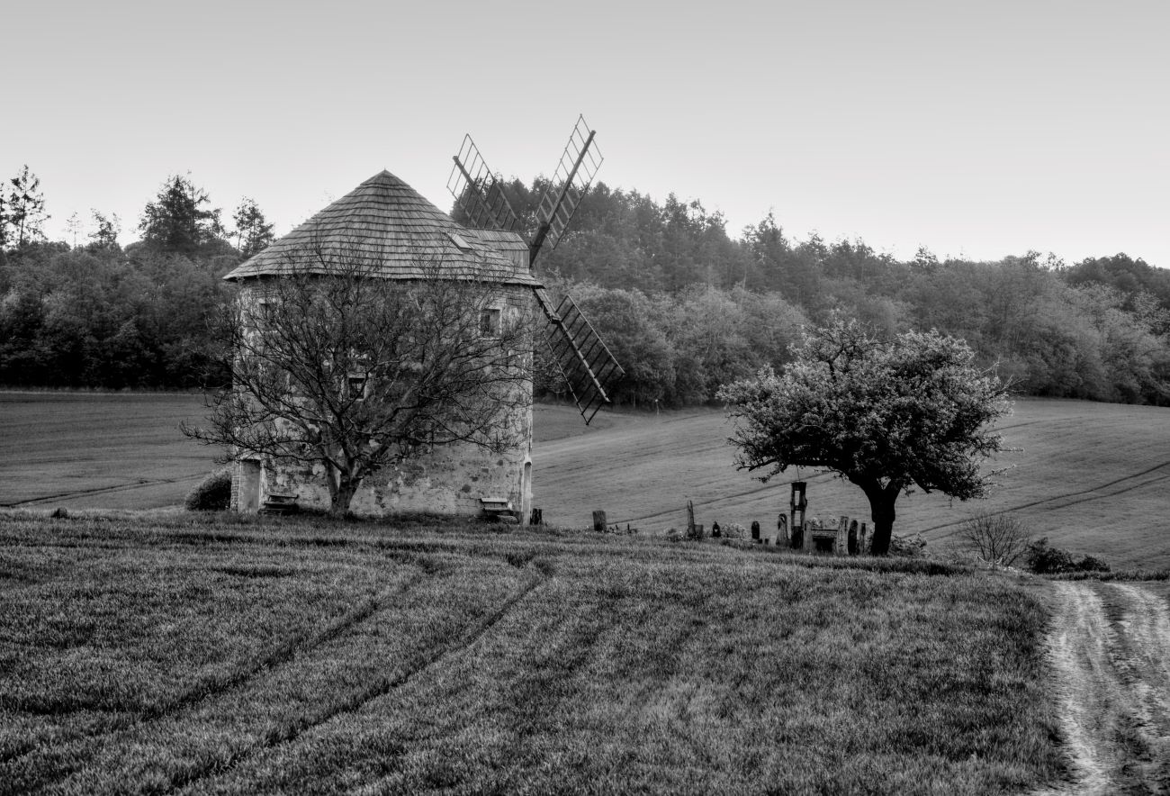 Staletá krása v barvě černobílé - Foto Ladislav Jonák 0424