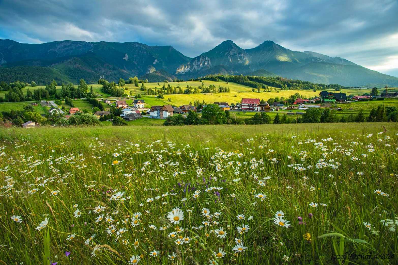 Letní horské louky - Foto Jozef Pitoňák 0724 (1)