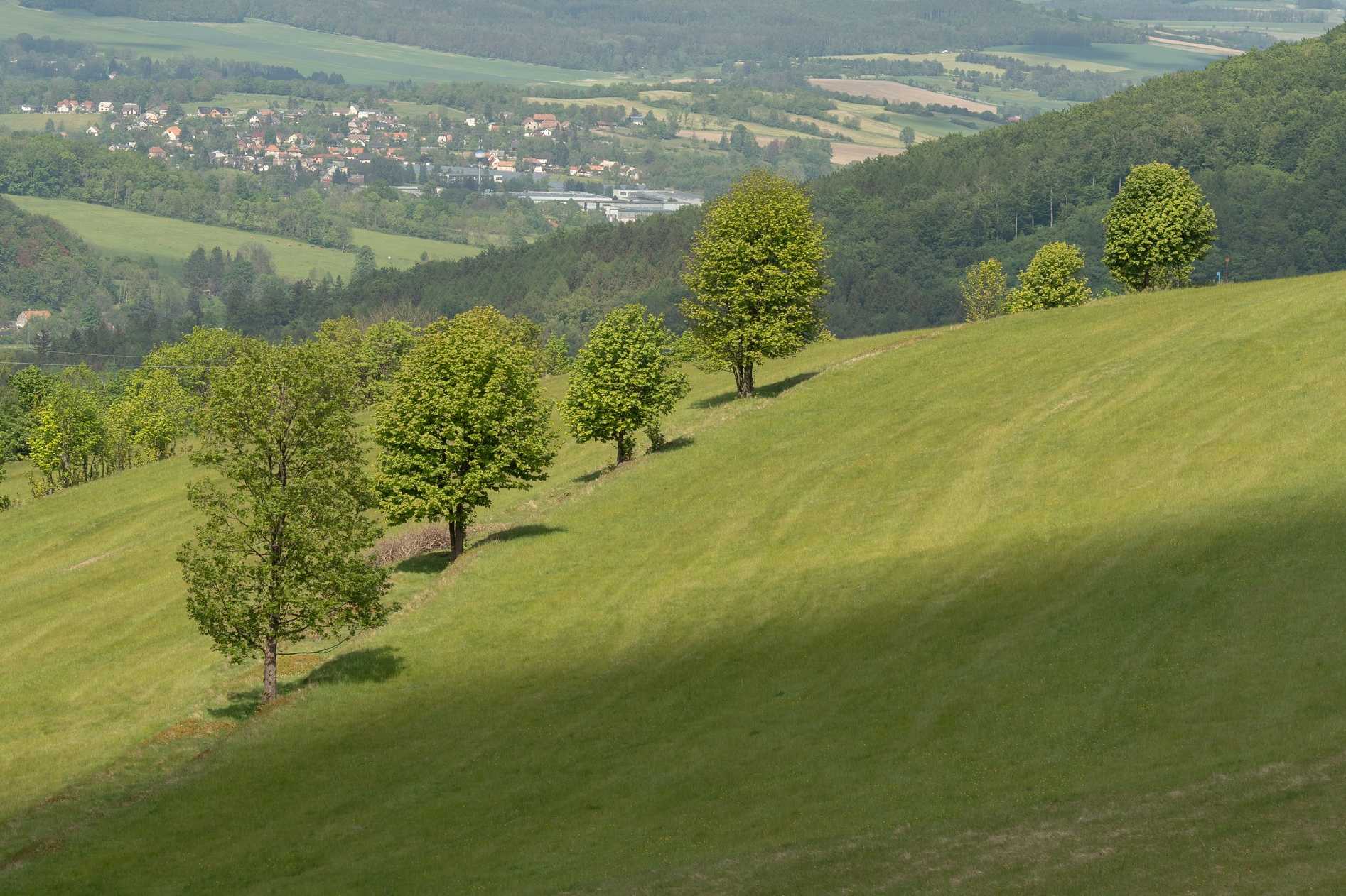 Pod Jedlovou - Foto Petr Germanič 0524