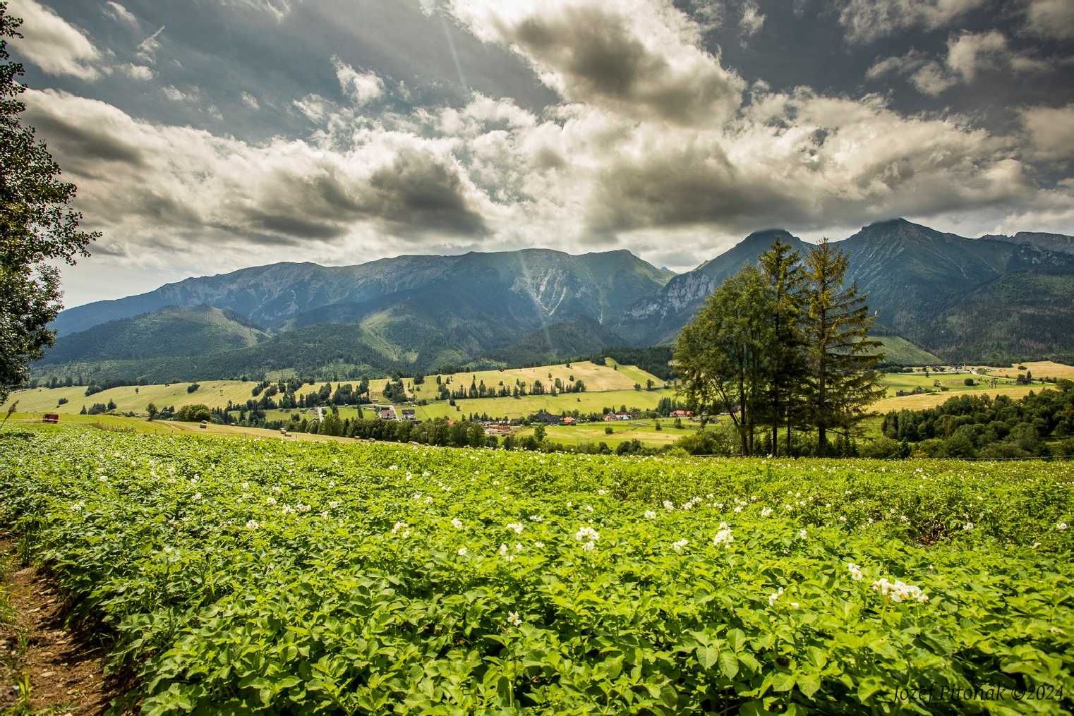 Krajina provoněná senem - Foto Jozef Pitoňák 0724 (4)