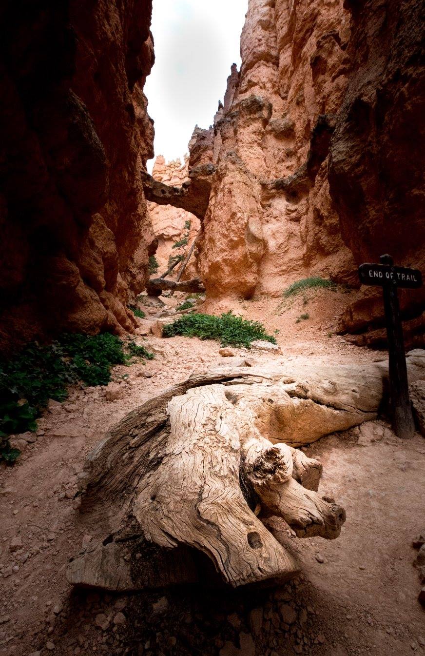 Bryce Canyon - Foto Ladislav Hanousek 0724 (2)