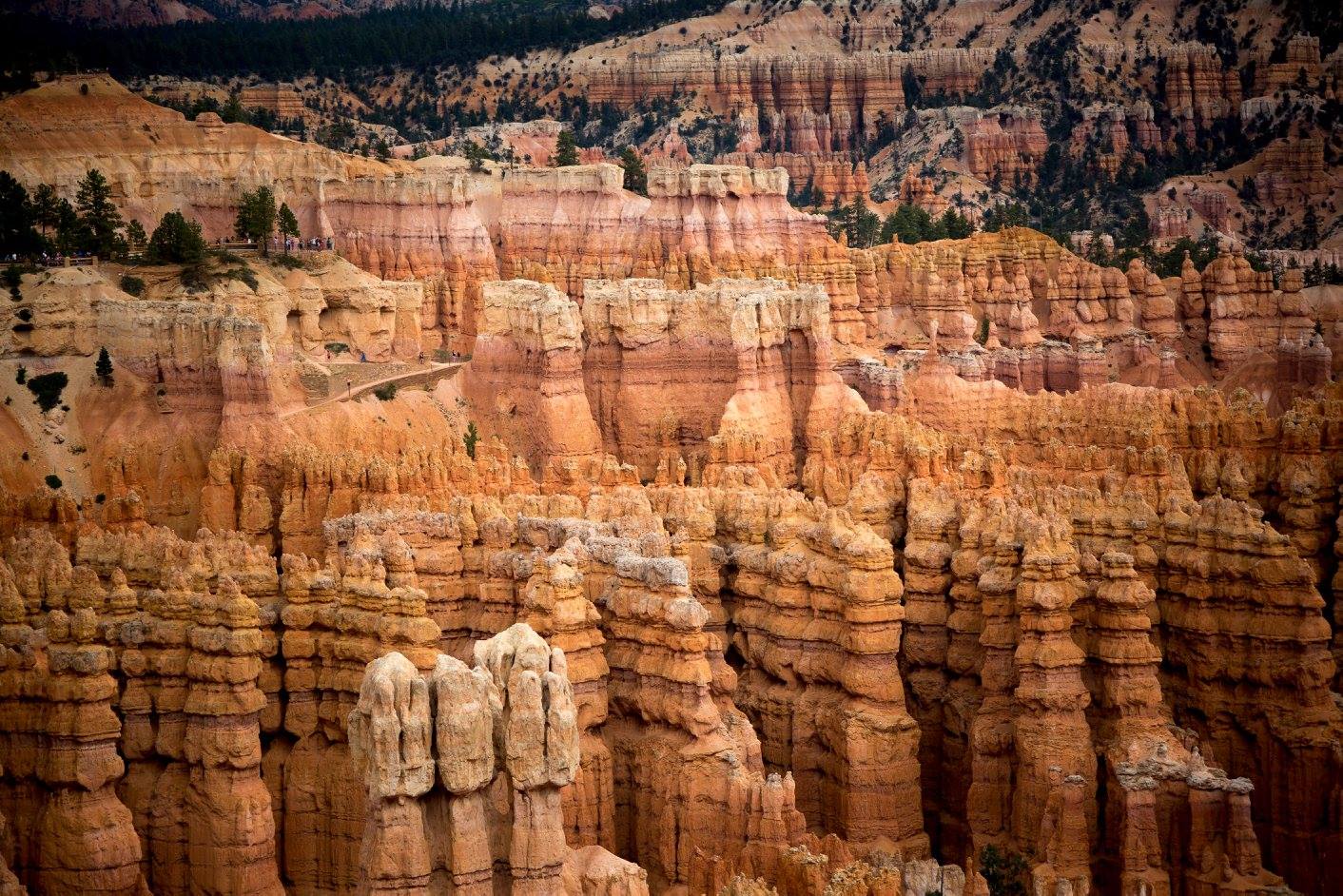 Bryce Canyon - věže Hoodoos - Foto Ladislav Hanousek 0724