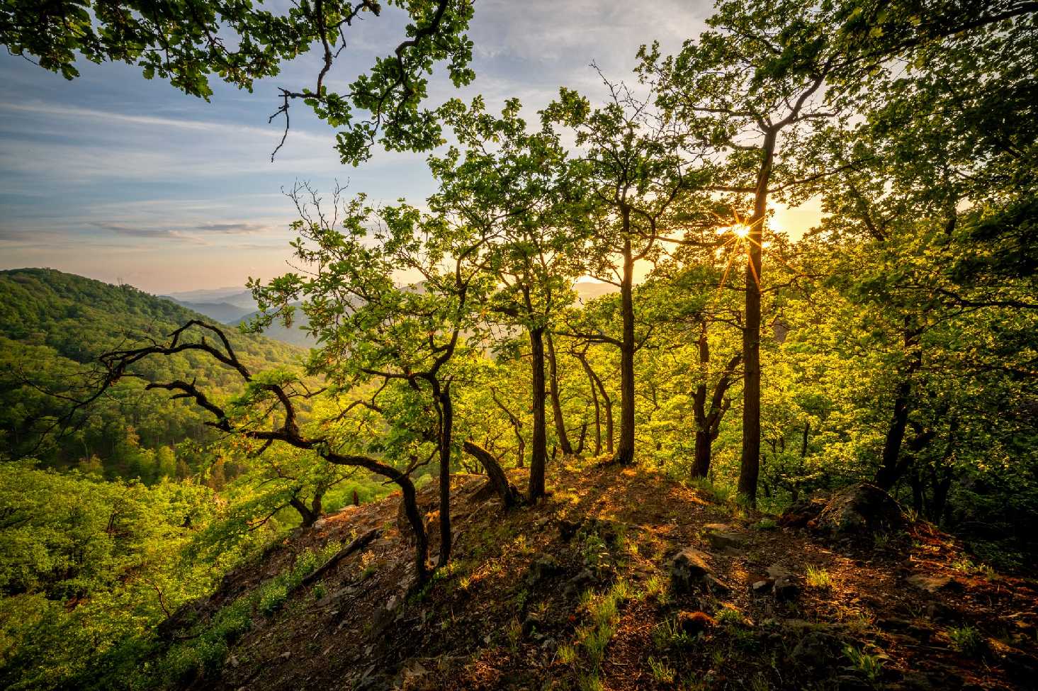 Z vyhlídky do Českého středohoří - Foto Petr Kovář 0624 (1)