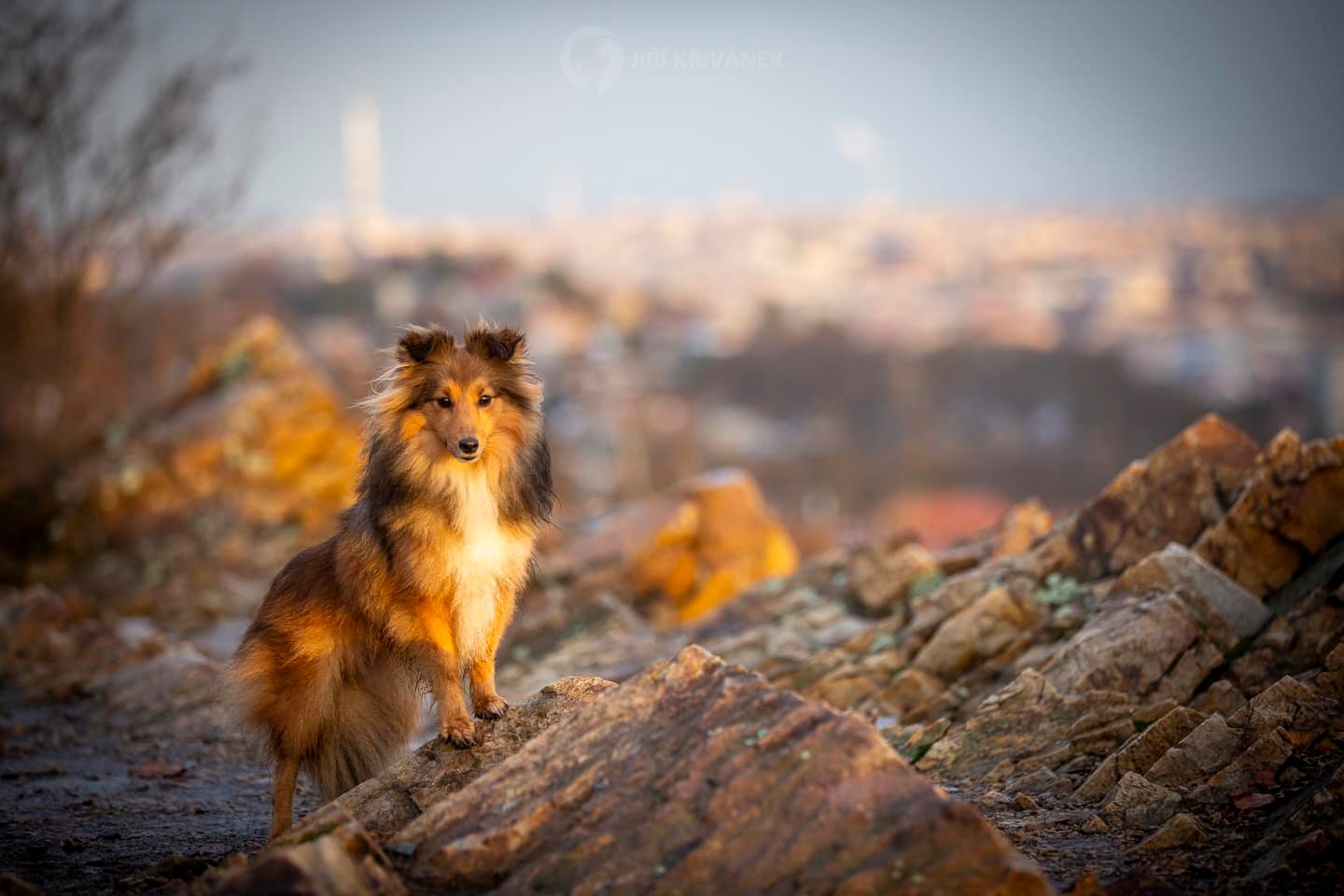 Freya v Zahradě snů - Foto Jiří Křivánek 0824