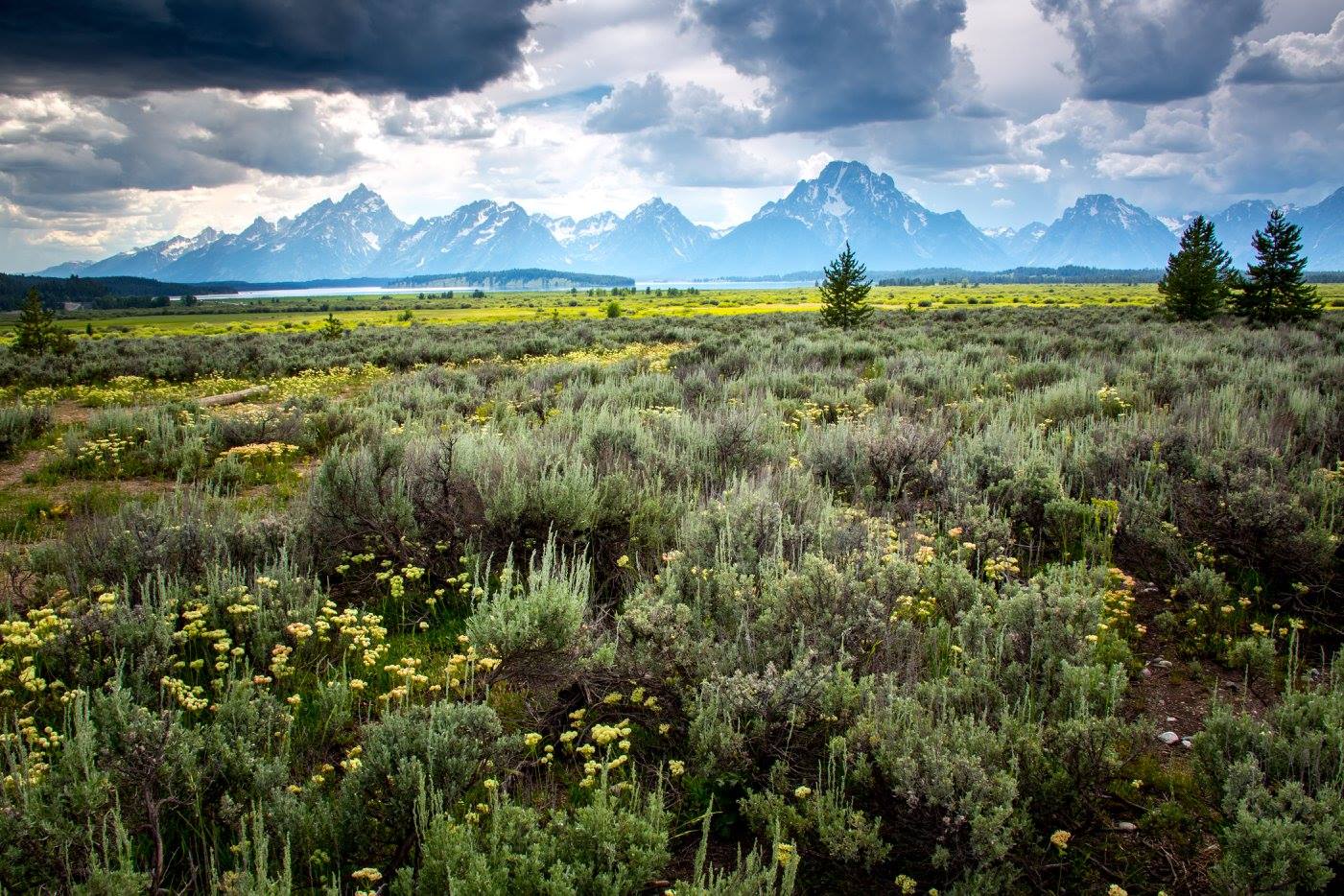 Grand Teton NP - Foto Ladislav Hanousek 0824