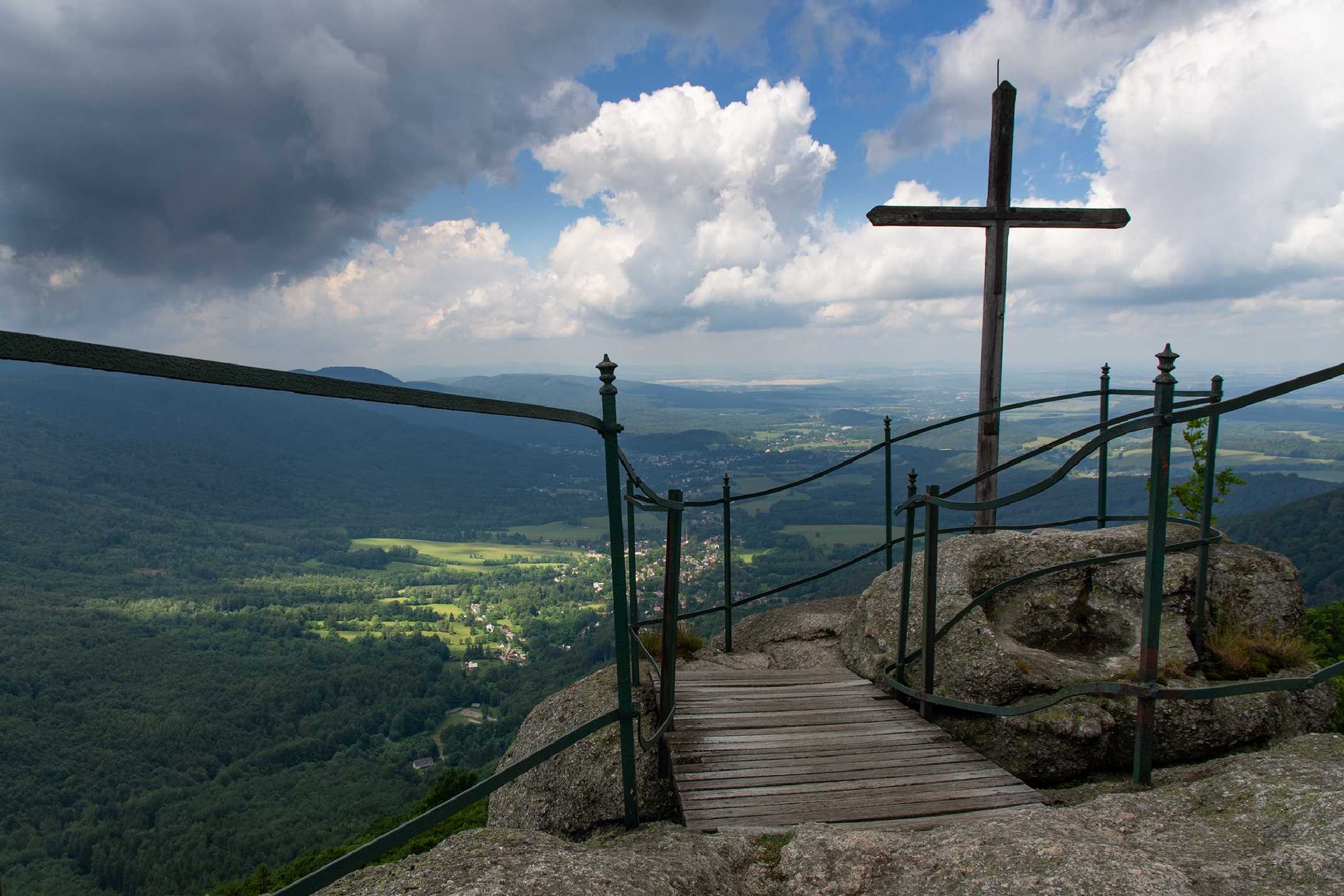 Paličník - Foto Jaroslava Jechová 0624