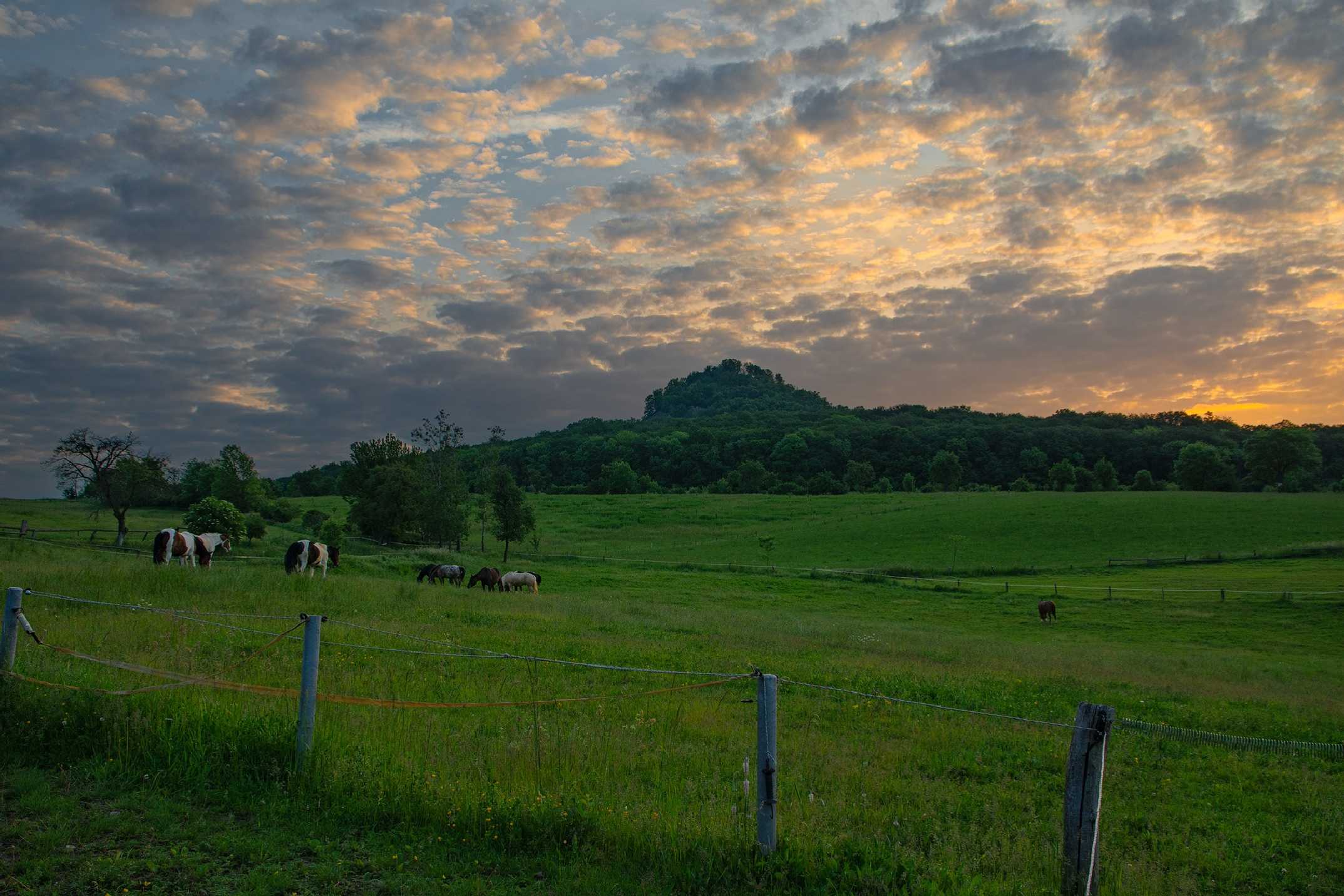 Ráno v Kocourově - Foto Jaroslava Jechová 0624