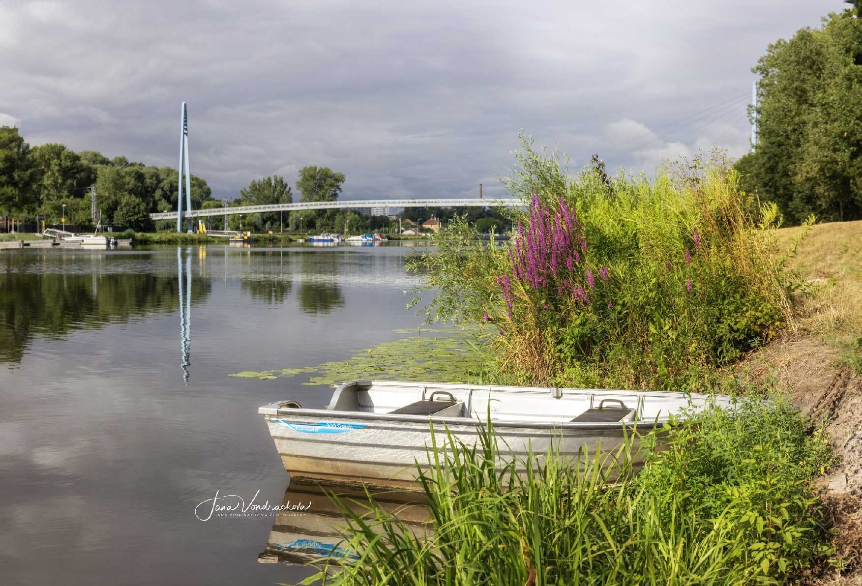 Letní ráno u Labe - Foto Jana Vondráčková 0724