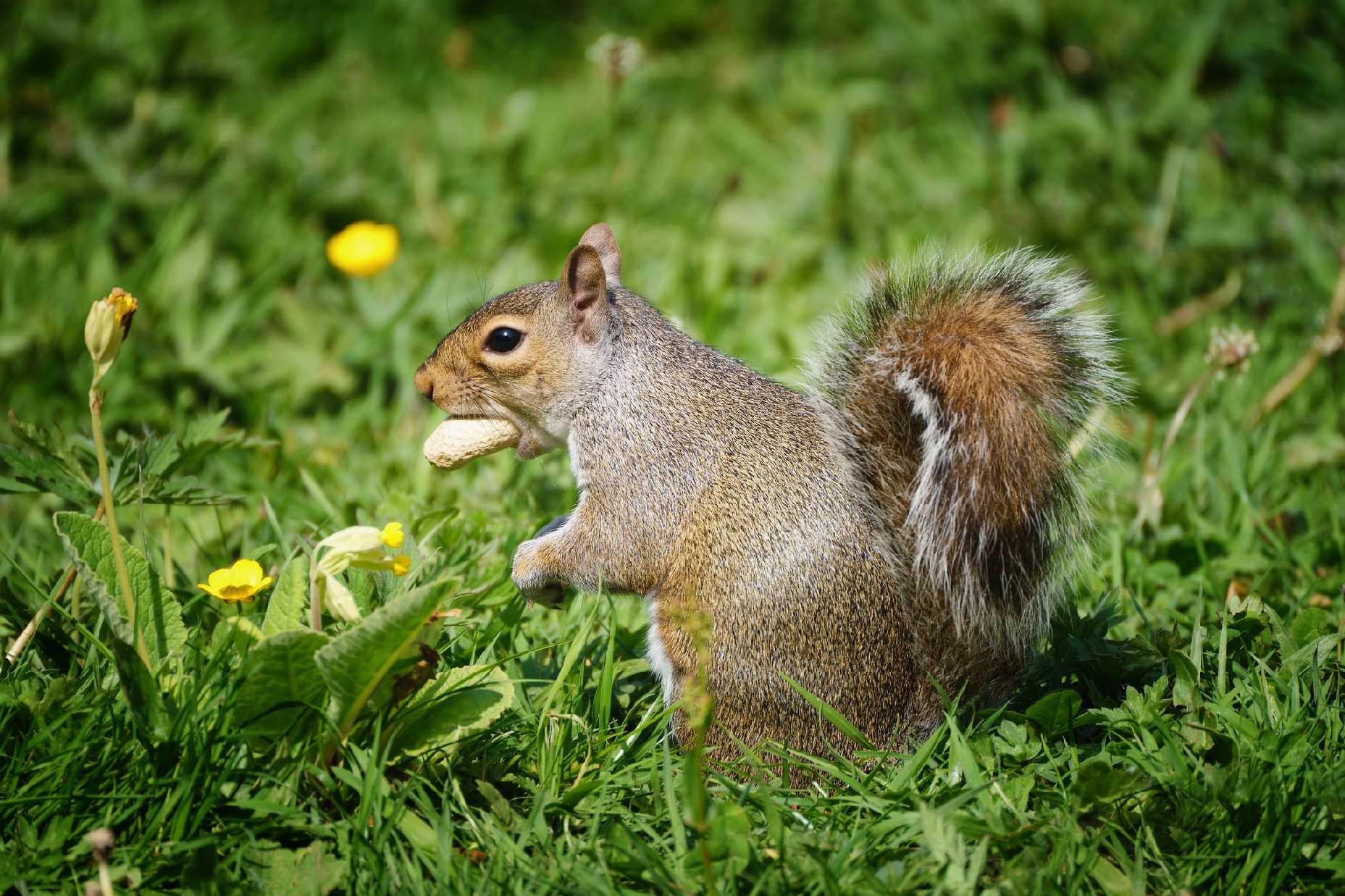 Nemluv s plnou pusou - Foto Jana Ježková 0524