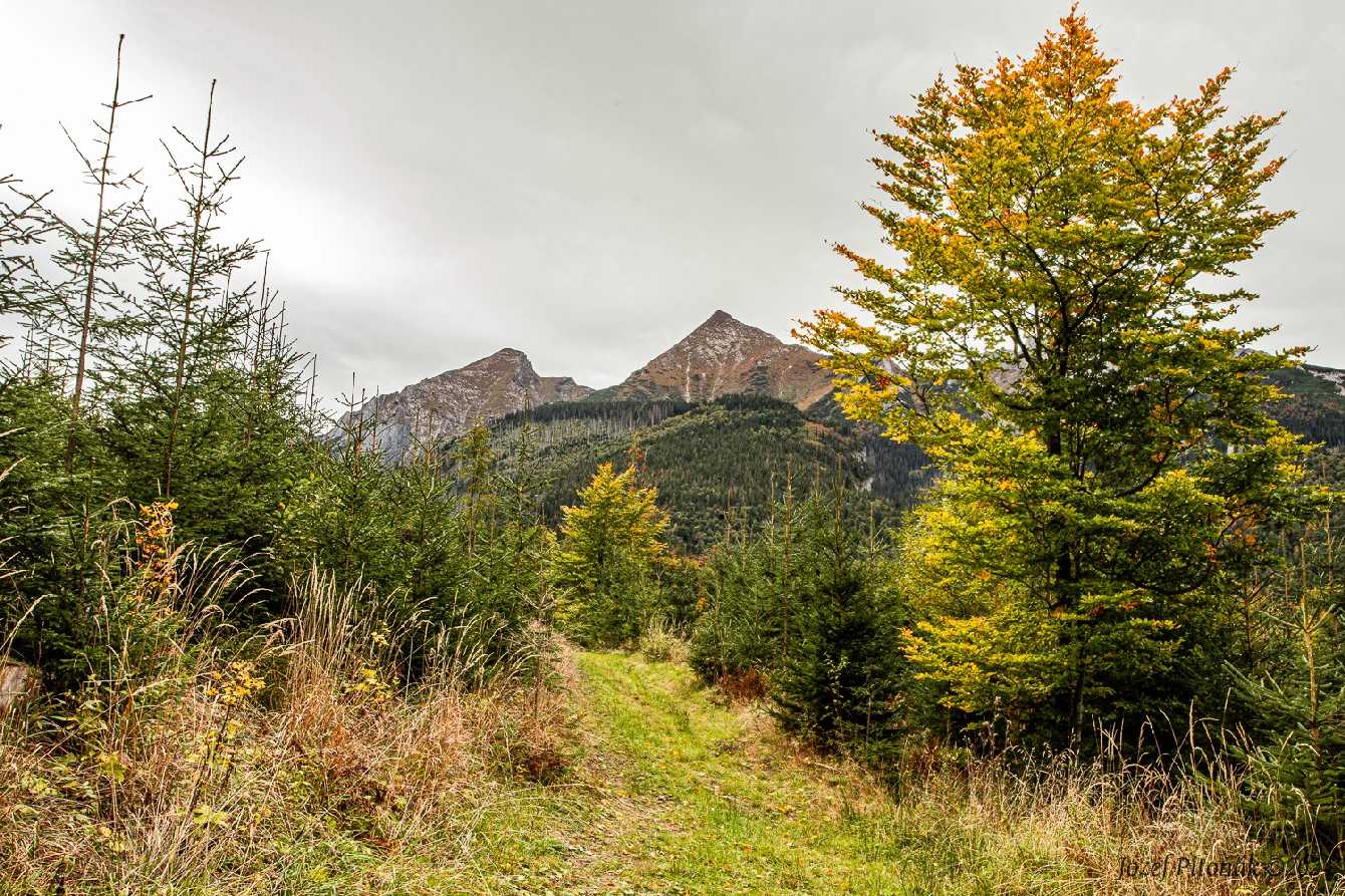 Přichází podzim - Foto Jozef Pitoňák 0924 (4)