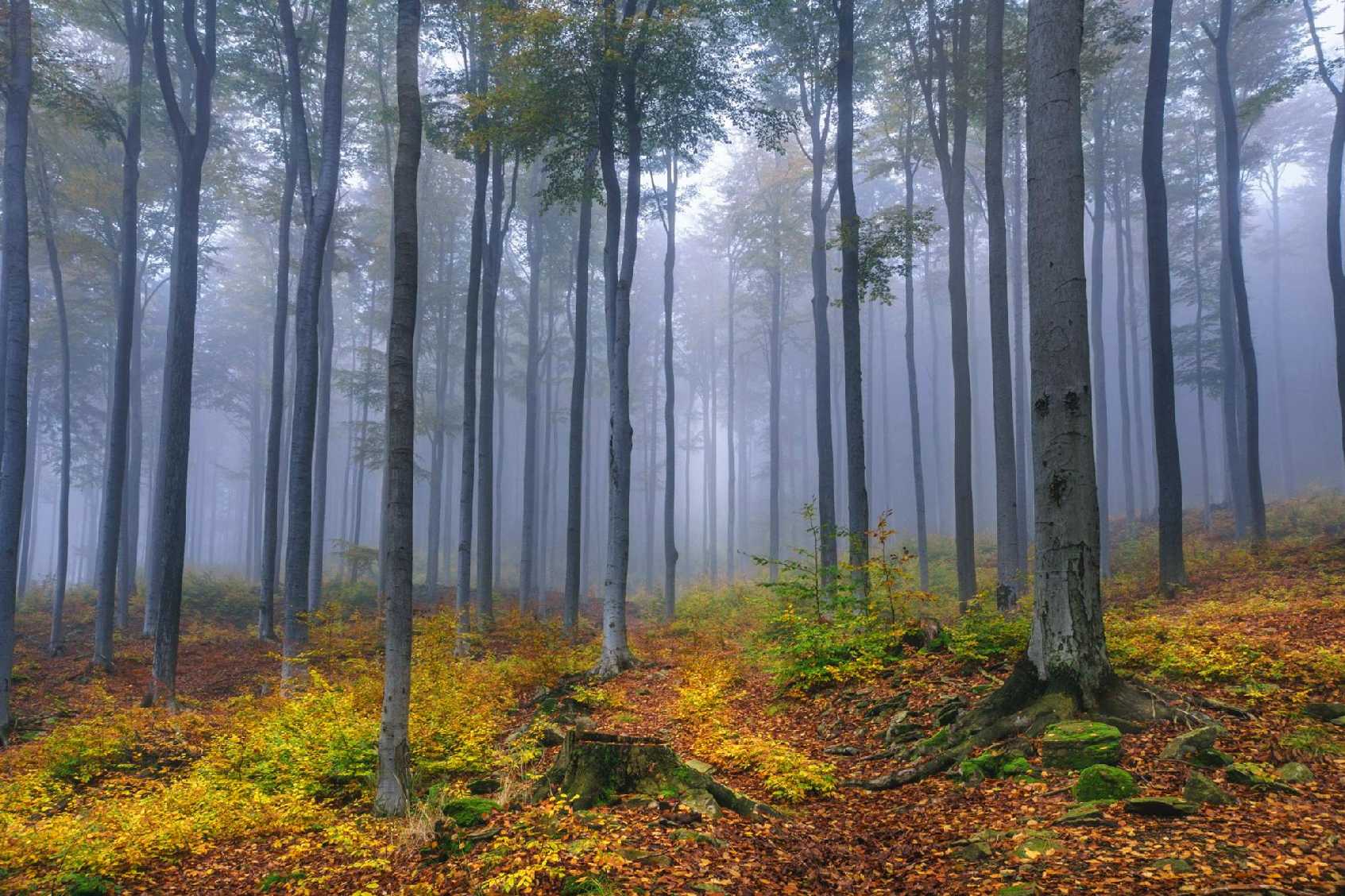 Pod kamenným mořem - Foto Petr Germanič 1024