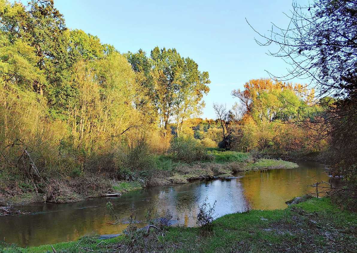 Krásné podzimni Pomoravi - Foto Marie Vykydalová 1024 (2)