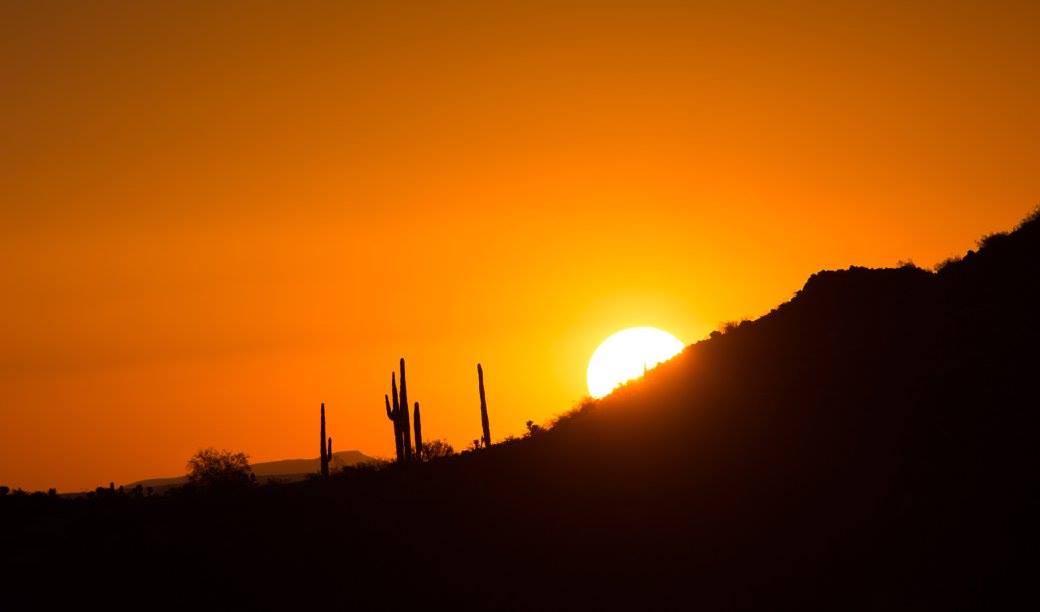 Národní park Saguaro při západu - Foto Ladislav Hanousek 1124