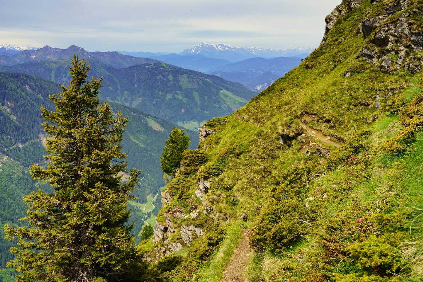 Niedere Tauern - Rakousko - Foto Jana Ježková 0624 (5)