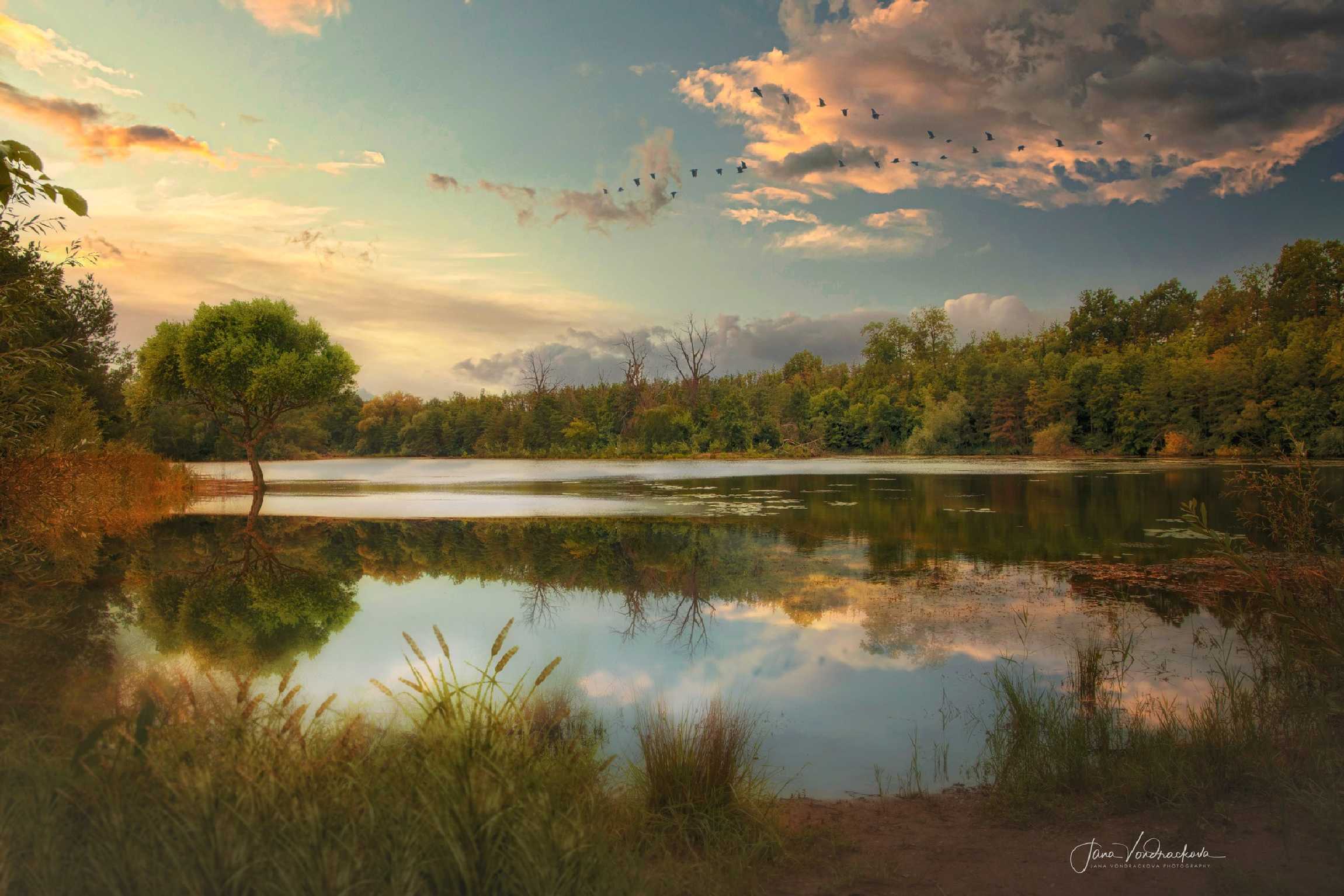 Toušeňské mokřiny - Foto Jana Vondráčková 1024