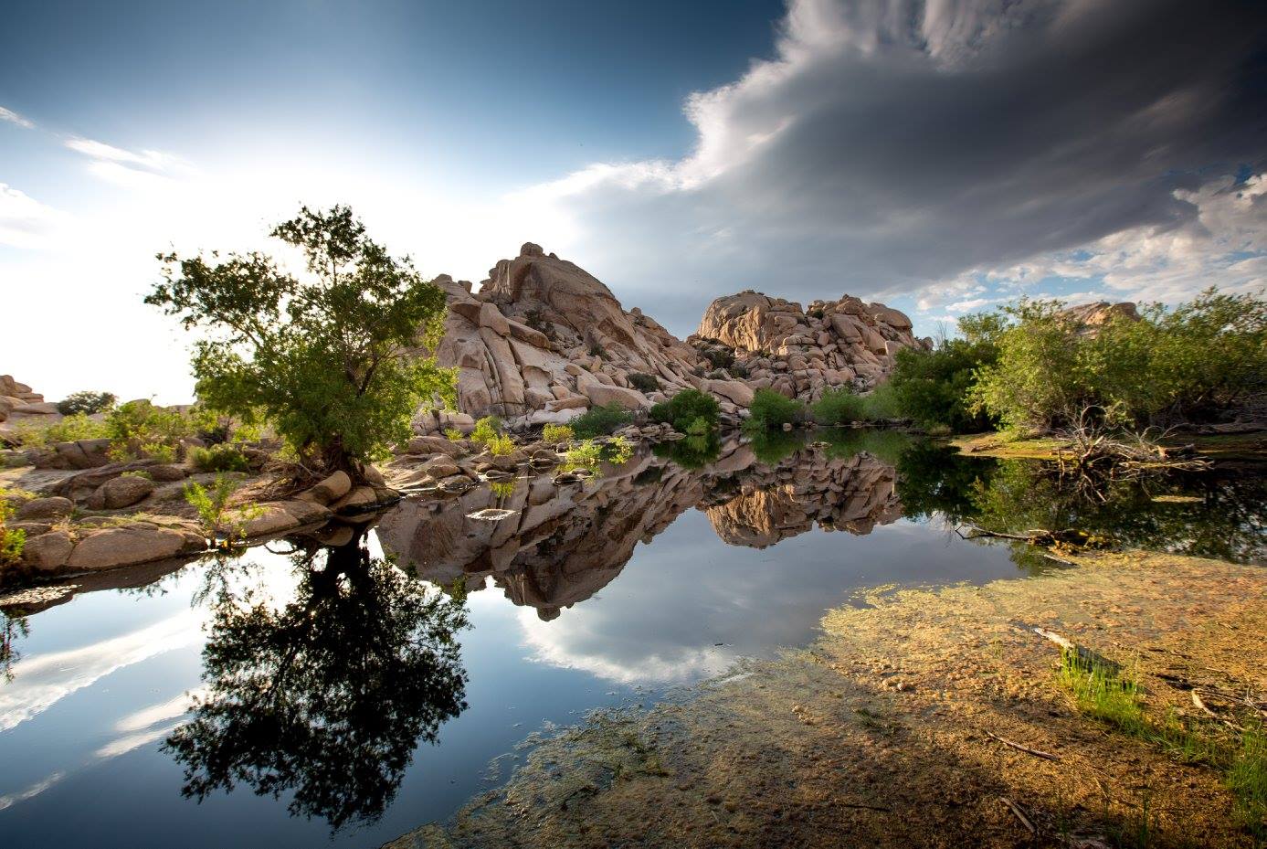 Joshua Tree NP - Baker Dam - napajedlo - Foto Ladislav Hanousek 1124