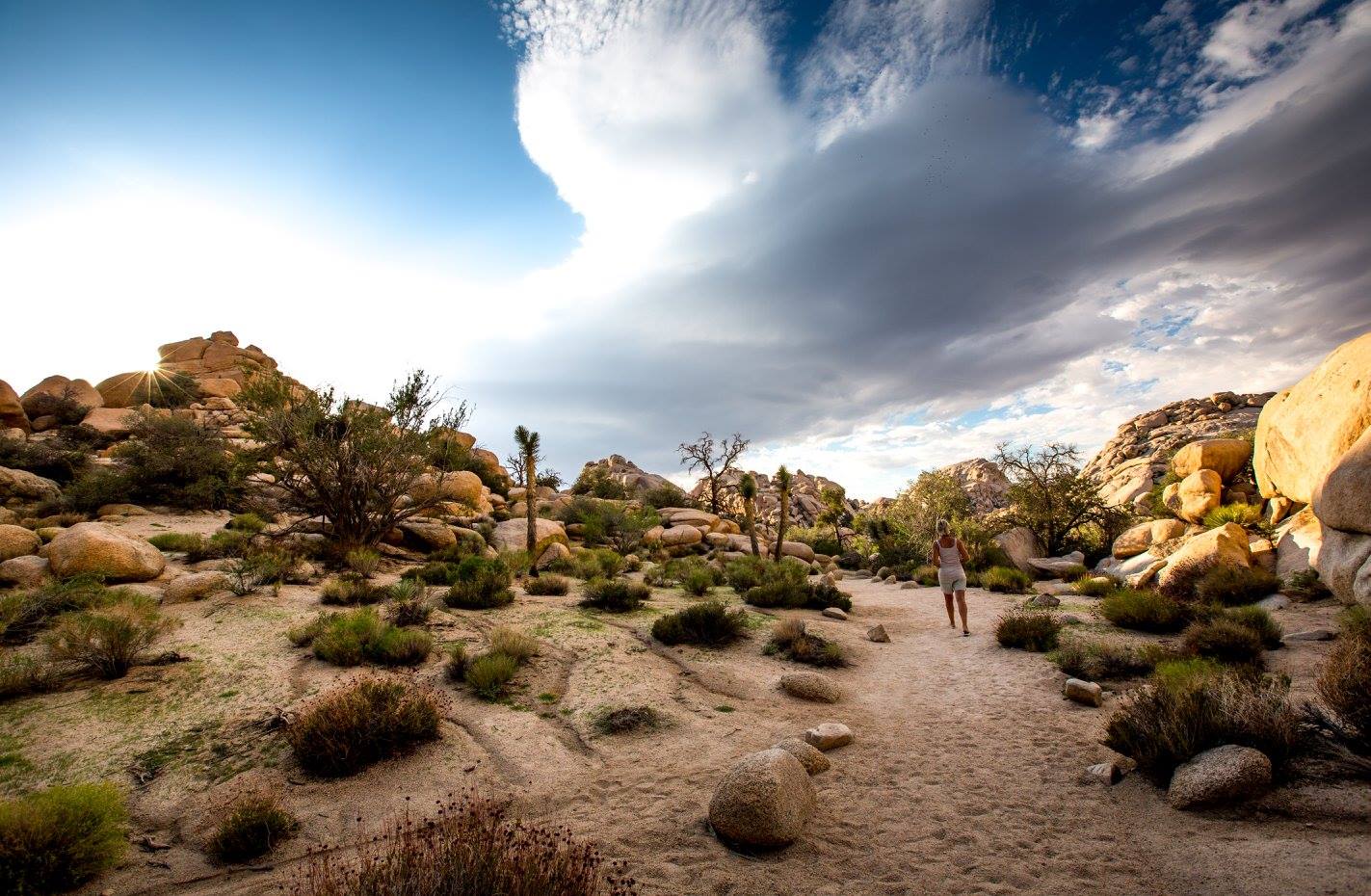 Joshua Tree NP - cesta k napajedlu Baker Dam - Foto Ladislav Hanousek 1124