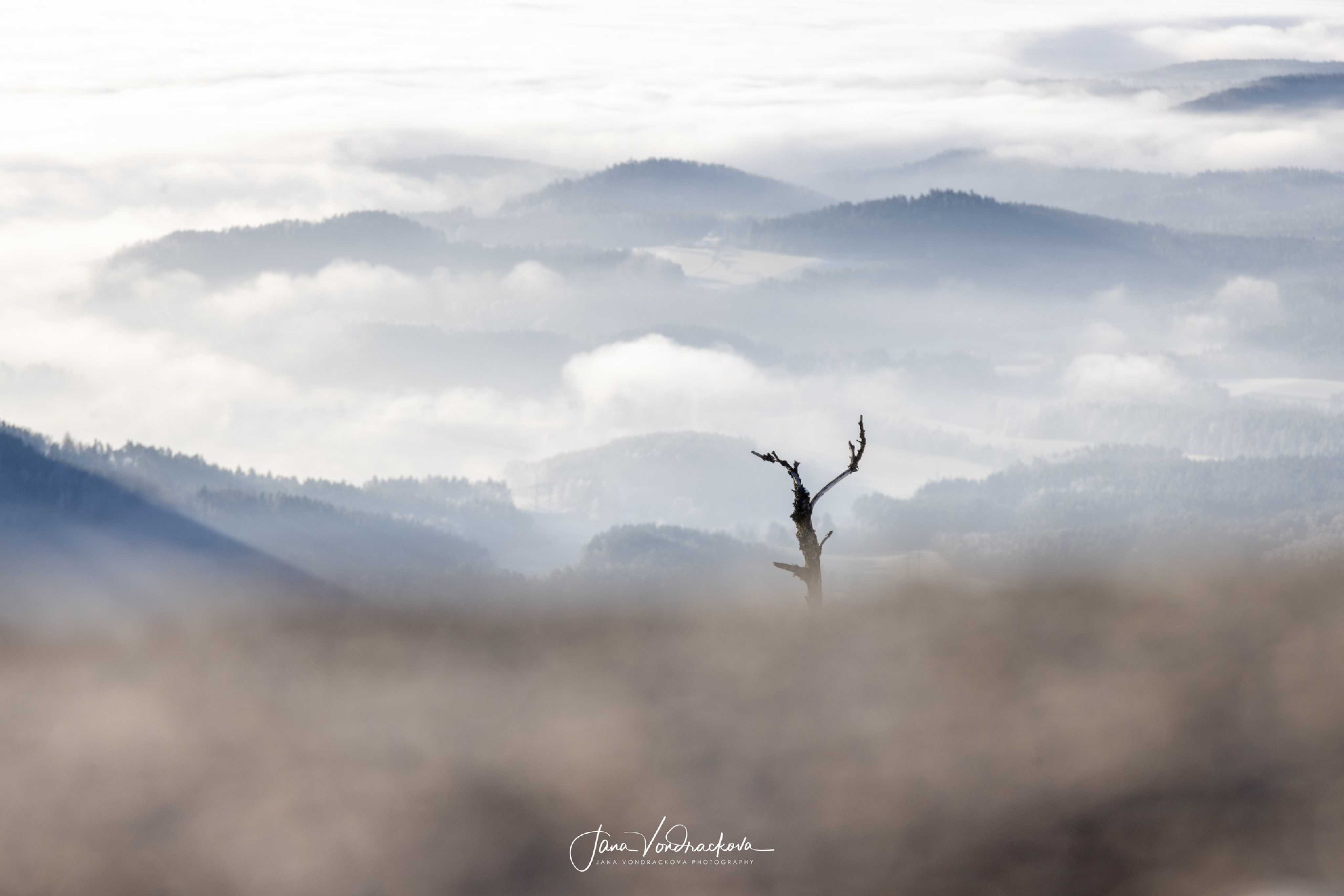 Ráno na Ještědu - Foto Jana Vondráčková 1224