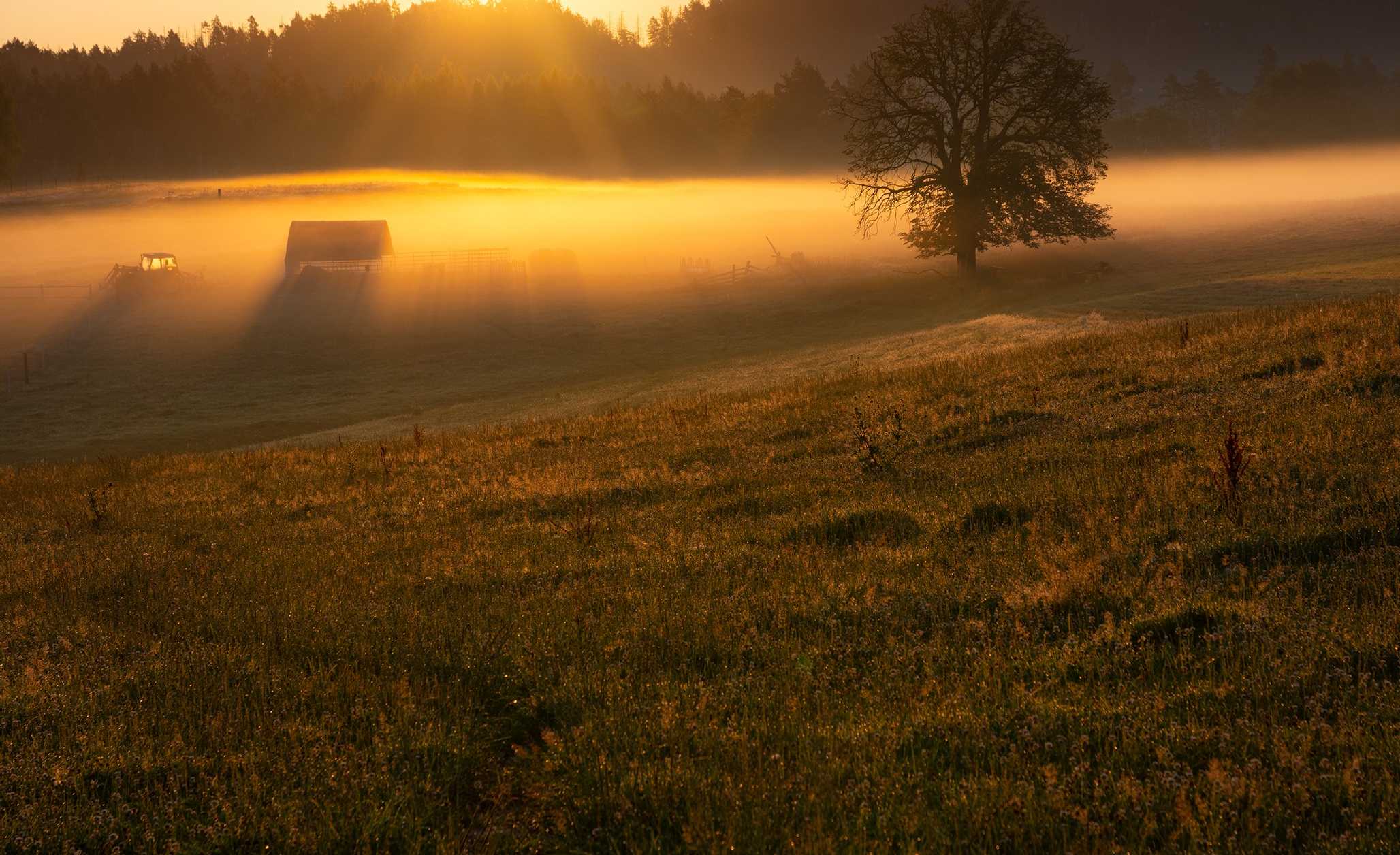 Léto na pastvinách - Foto Jaroslava Jechová  0824 (3)