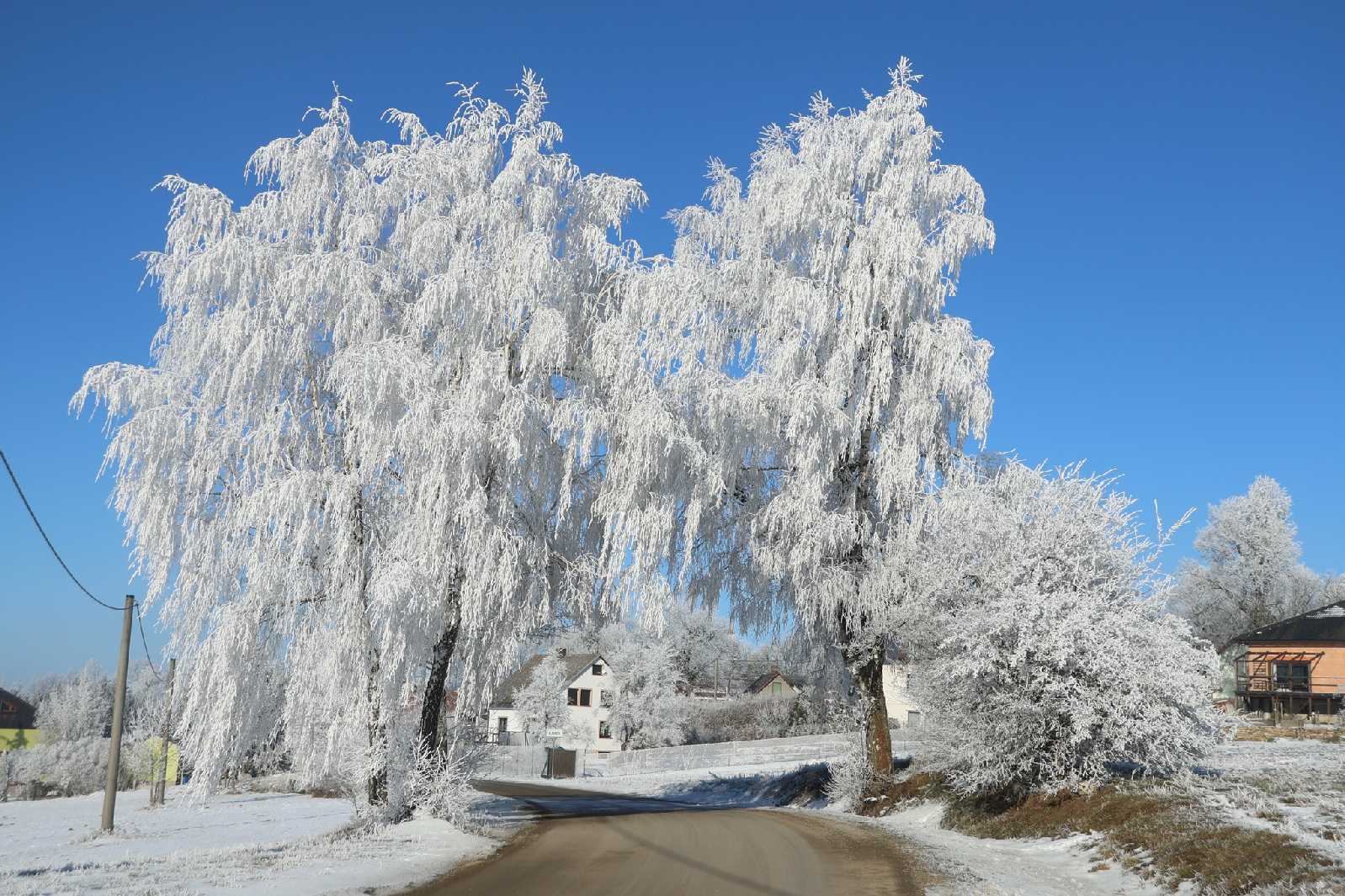 Námraza na větvích - Foto Ladislav Jonák 0125